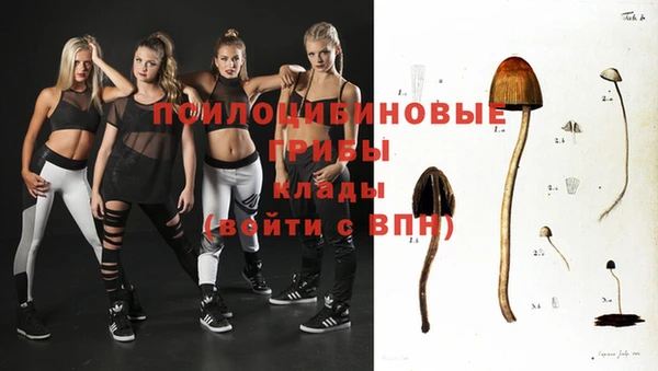 метадон Белокуриха