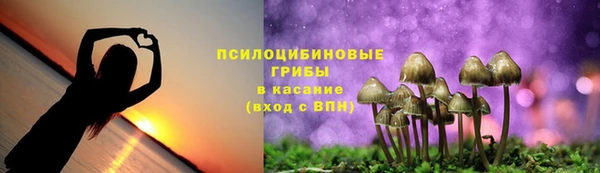 метадон Белокуриха