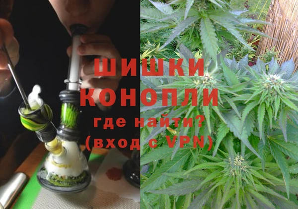метадон Белокуриха