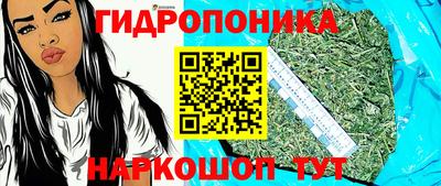 прущие грибы Апшеронск