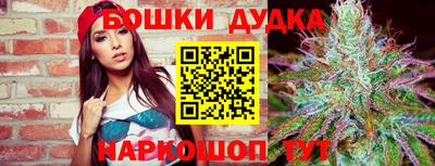 прущие грибы Апшеронск