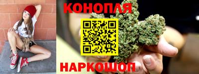 прущие грибы Апшеронск