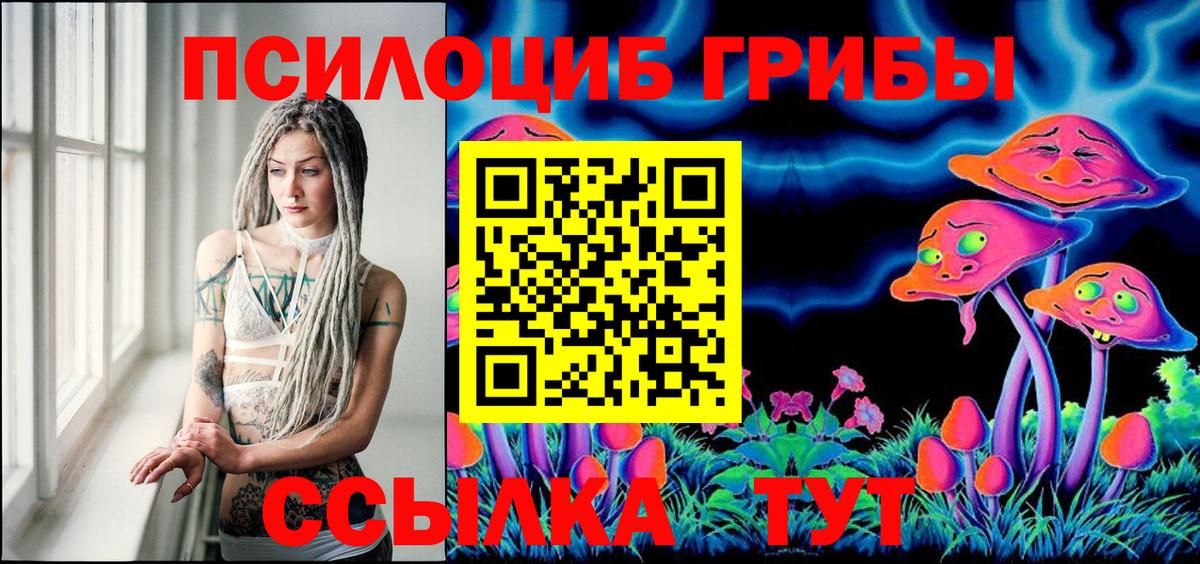 магазин продажи наркотиков  Псилоцибиновые грибы Magic Shrooms  Вход с VPN  Дальнегорск 