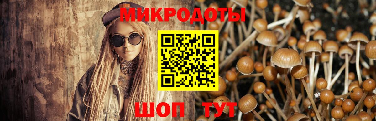 Галлюциногенные грибы мухоморы Дальнегорск